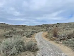 Updated Driveway