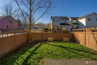 Fully fenced yard with garden area