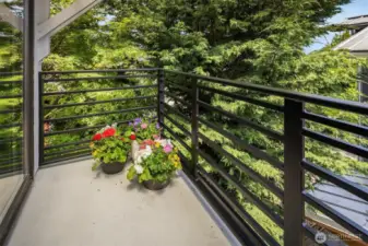 Private Primary Balcony