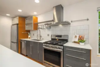 Sleek Kitchen Featuring Gas Luxury Range