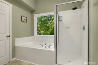 Soaking tub and Stand up Shower