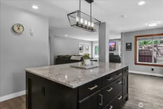 Newly Updated Kitchen with SS Appliances, Quartz Countertops, Gas stove with Pot Filler, Soft Close Cabinets and drawers