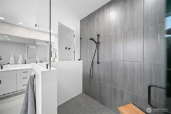 Shower with dual showerheads, offering a luxurious and customizable showering experience.