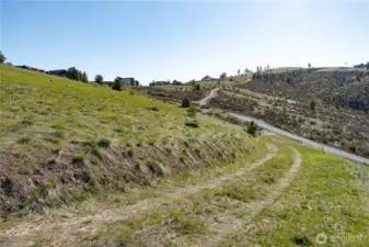 Driveway to the lot