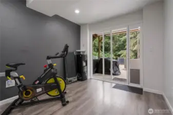 Downstairs Bonus Room