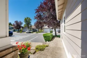 Serene community view with quiet neighborhood street and ample guest parking near 10700 SE 260th St Unit E-104, Kent.