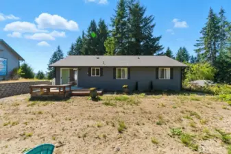 Backyard, New septic area