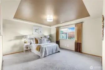 Spacious primary bedroom on the main floor with vaulted ceiling