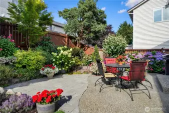 Charming backyardn showcasing a variety of flowering plants.