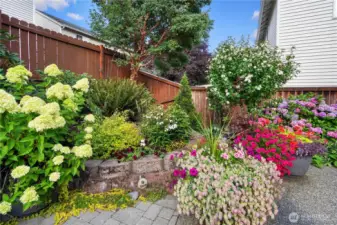 Blooming backyard oasis filled with vibrant flowers (photo taken in Summer)