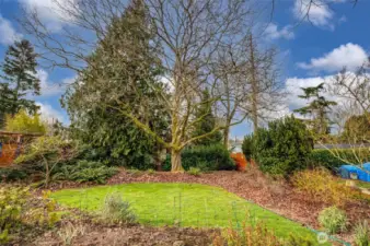 Enjoy this back yard through all the seasons!