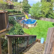 Backyard & Pool 1