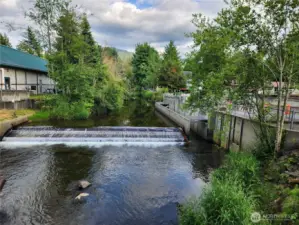 Issaquah Creek at the Salmon Hatchery.