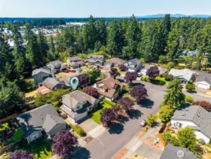 Close to parks, schools, newly developed residences, stores, restaurants, Starbucks, hospitals, JBLM and I-5
