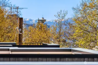 Enjoy the views from the rooftop deck
