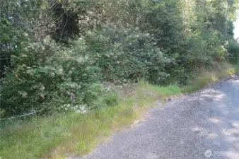 Potential Driveway Entrance