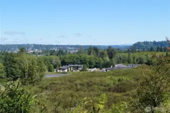 View from the PUD power line road (off the property).