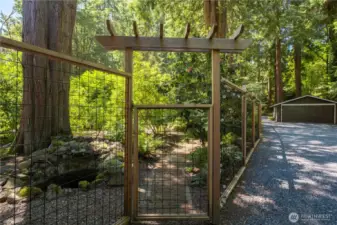 fenced garden space