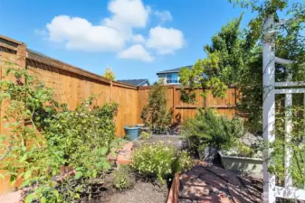 Raised Garden Beds