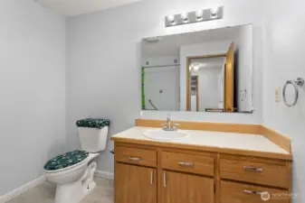 Large bathroom designed with accessibility in mind.