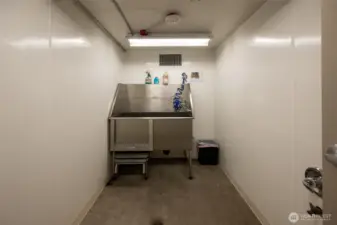 dog wash