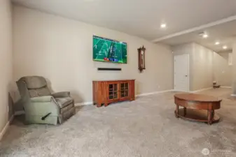 Daylight lower level family room with sliding door to covered heated patio and private fenced back yard.