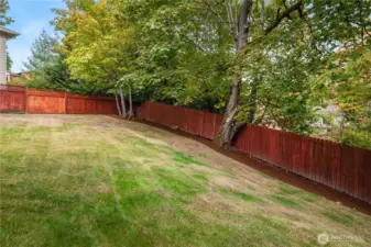 Lots of grass space that is fully fenced and framed by a barked border