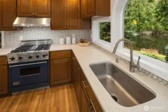 A Viking Gas Oven & Range with hood vent, and a nice deep kitchen sink