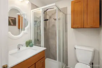 The guest cottage bathroom