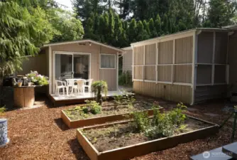 Raised Gardens