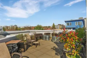 Rooftop Garden Space!