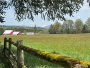 Plenty of room for a barn and arena out here!