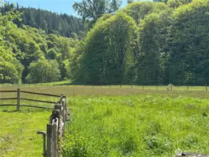 Looking from the outbuilding to the 5 and 12 acre pieces.  These were purchased initially to provide absolute privacy along the backside of the land.  Both of these parcels contain some steep terrain and are mostly wooded.