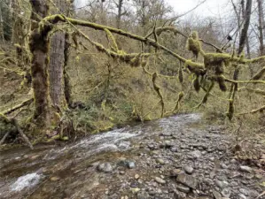 Barr Creek