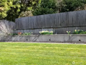 back yard raised flower beds