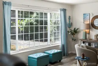 Living Room Window