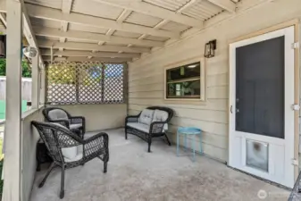 Covered Back Patio