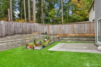 Backyard eating area