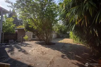 backyard - upper area