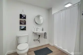 Lower level bathroom with shower.