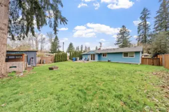 Large back yard