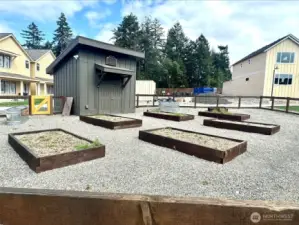 Community garden