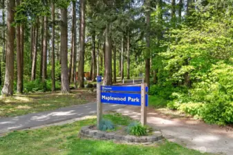 Walk trail to park