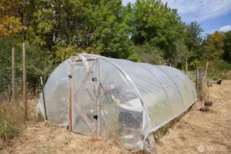 Greenhouse, just past the Shed Quarters and across from the single container.