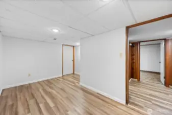 Lower Level 4th Bedroom