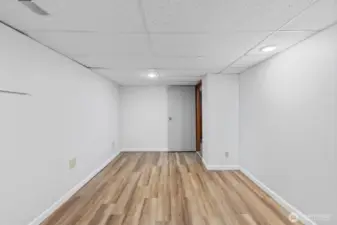 Lower Level Bedroom
