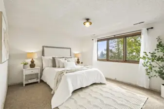 Lower level bedroom