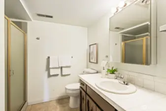 Lower level bathroom
