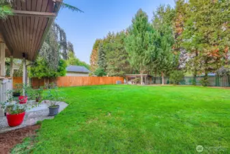 The flat back yard. Volleyball? Bocce Ball? Irrigation already installed!
