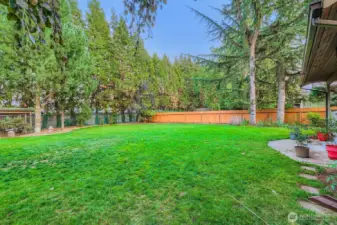 Another view of the spacious back yard and mature landscaping.